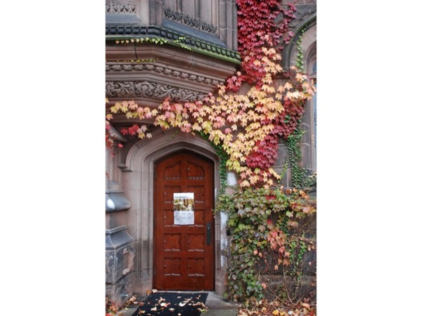 Picture of an ivy-covered doorway