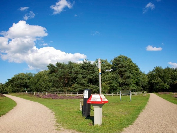 Photograph of a forking bike path