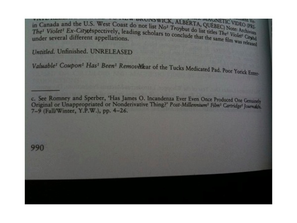 photograph of a footnote